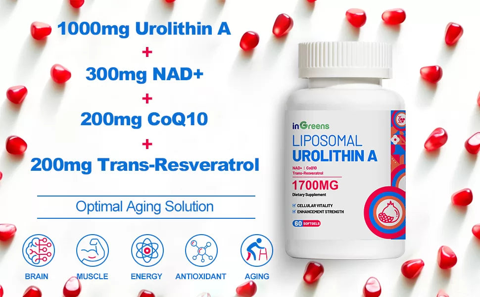 The New Anti – aging Substance Has Arrived! NMNH Helps Slow Down the Rate of Aging